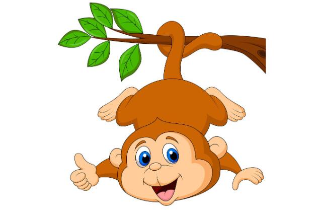 屬猴人2024年運(yùn)勢(shì)及運(yùn)程詳解