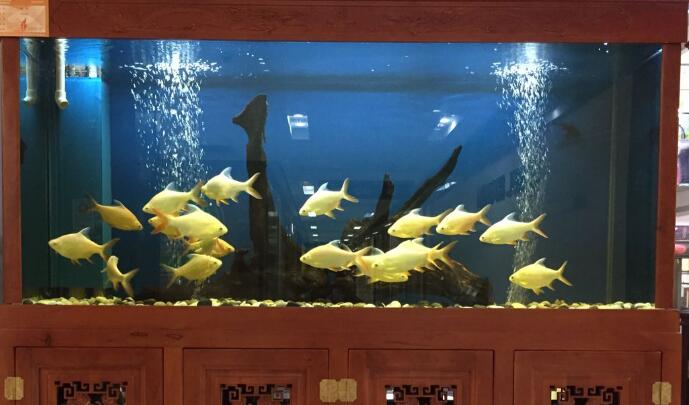 永康風(fēng)水先生詳聊門(mén)店風(fēng)水怎樣招財(cái)及方法